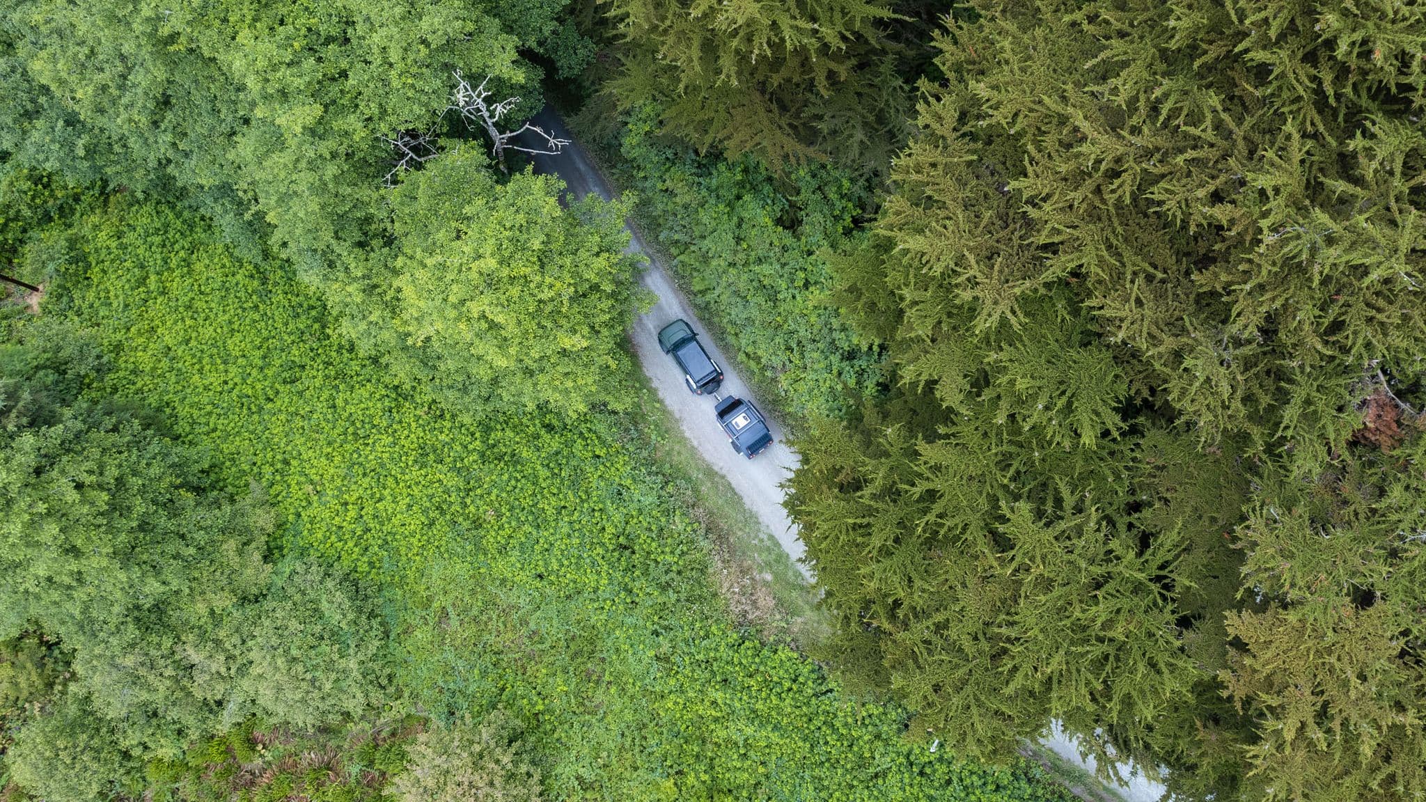 Drone shot of a Ford Bronco towing an Escapod trailer on a winding forest road, surrounded by dense green foliage.