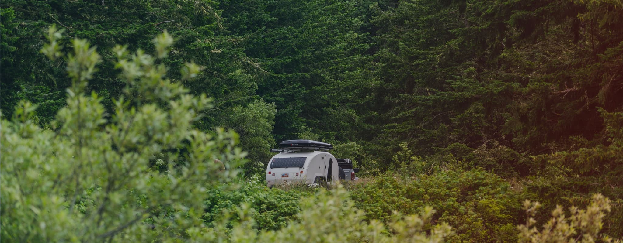 An Escapod TOPO2 trailer towed through dense greenery, featuring solar panels and a roof rack, blending into the remote forest setting.